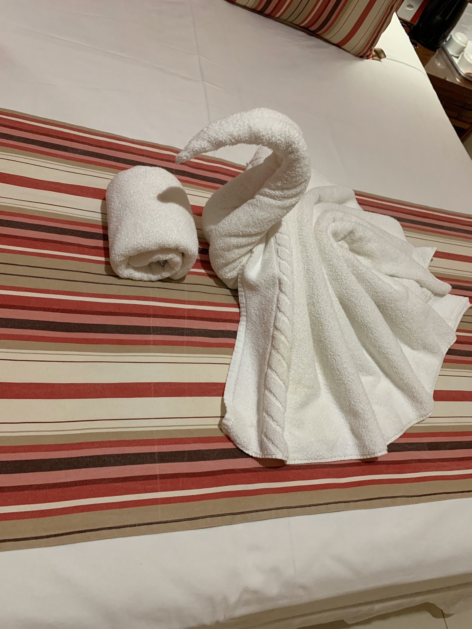 Terra Boa Hotel Boutique-官方