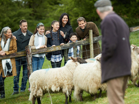 Causey Farm - Food & Farm Experience-Navan必去景点