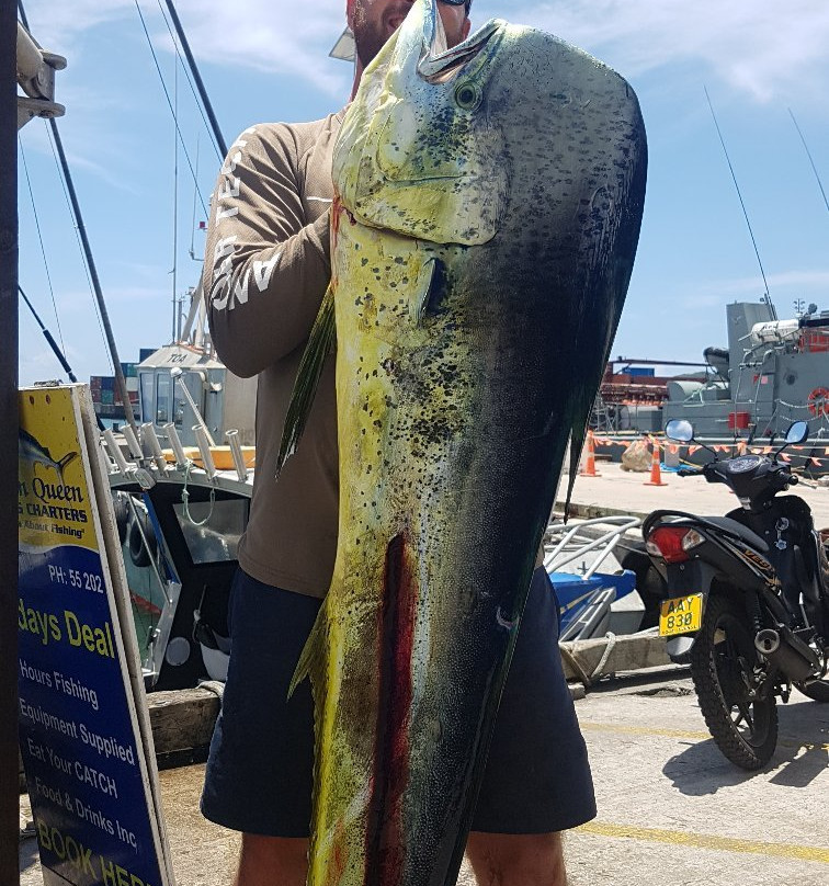 Marlin Queen Fishing Charters-拉罗汤加必去景点