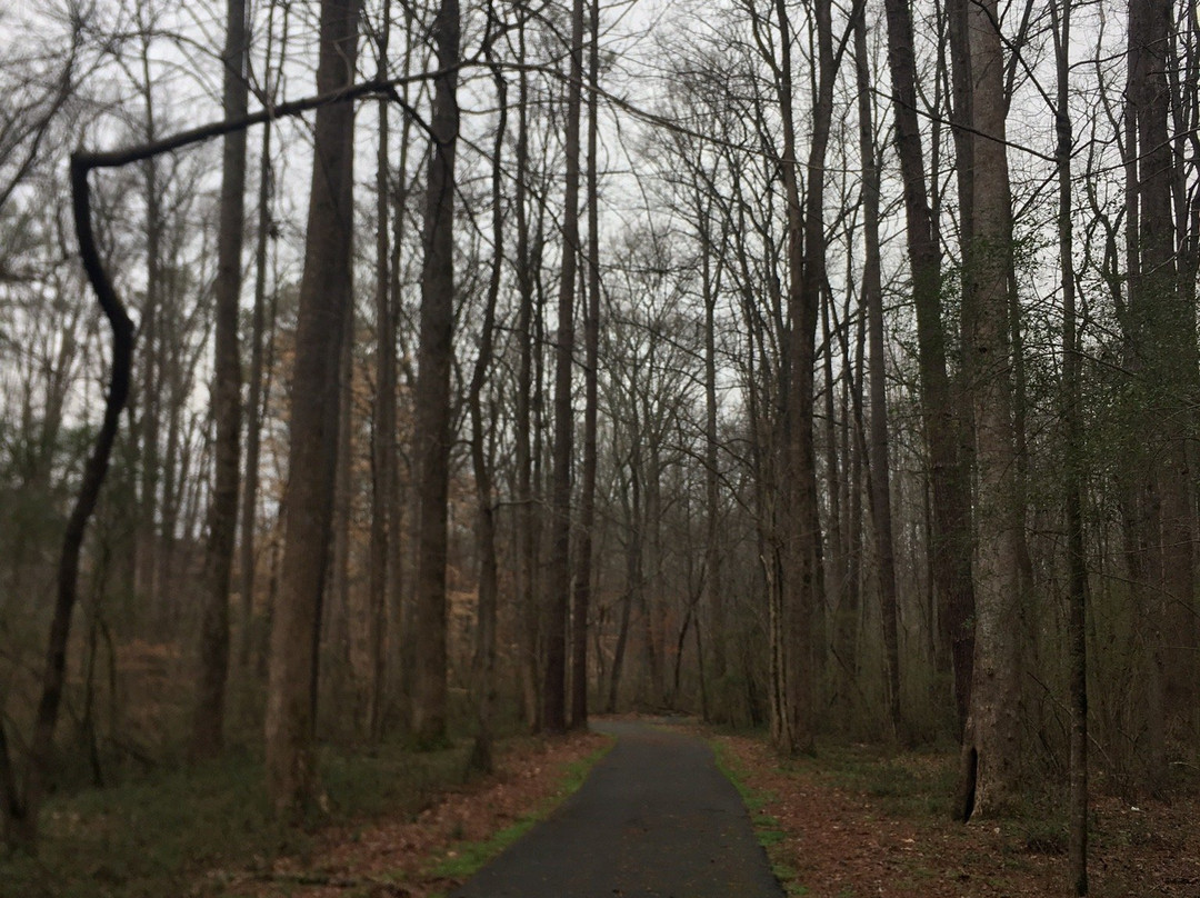 Turner lake-卡温顿必去景点