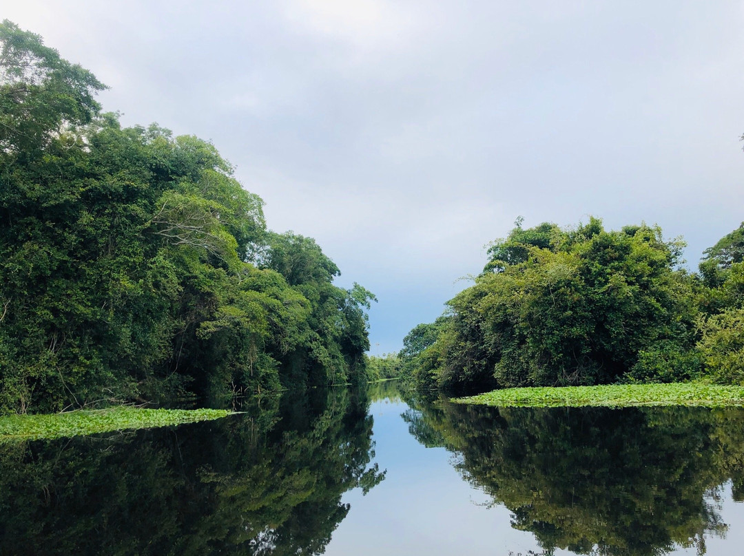 San Miguelito Jaguar Conservation Ranch