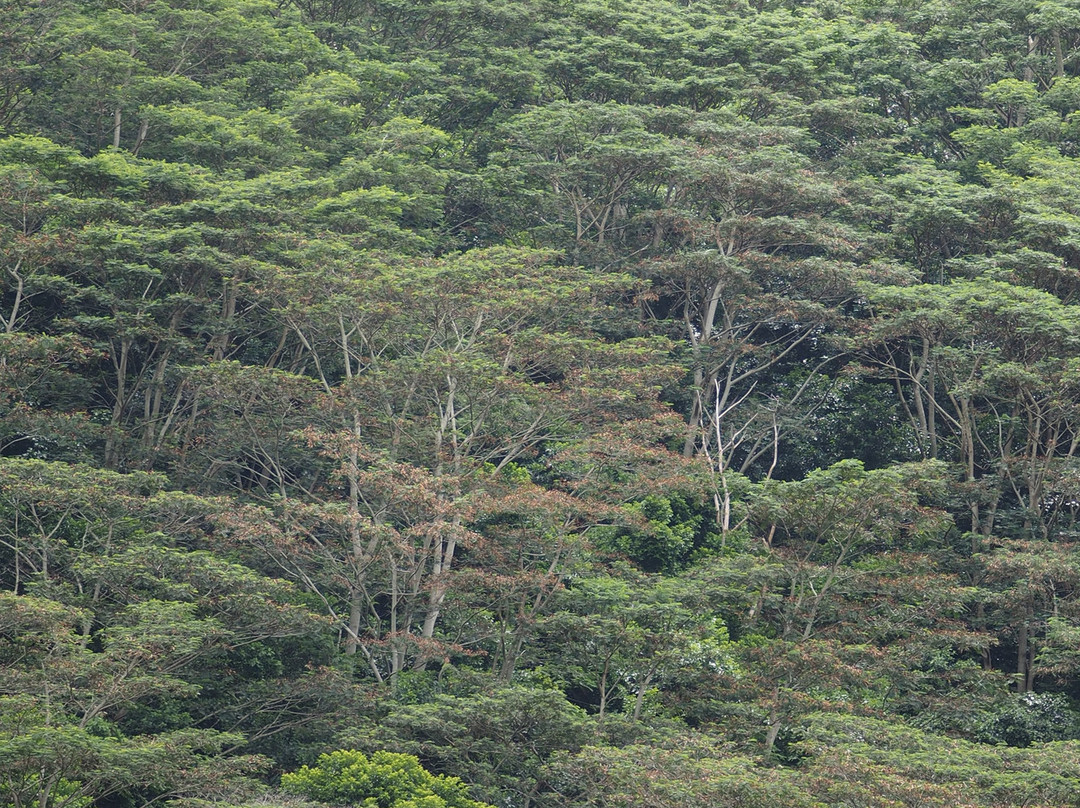 CHAZAL ecotourisme-Chamouny必去景点