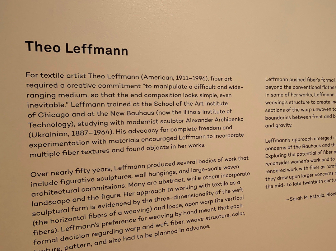 Block Museum of Art-埃文斯顿必去景点