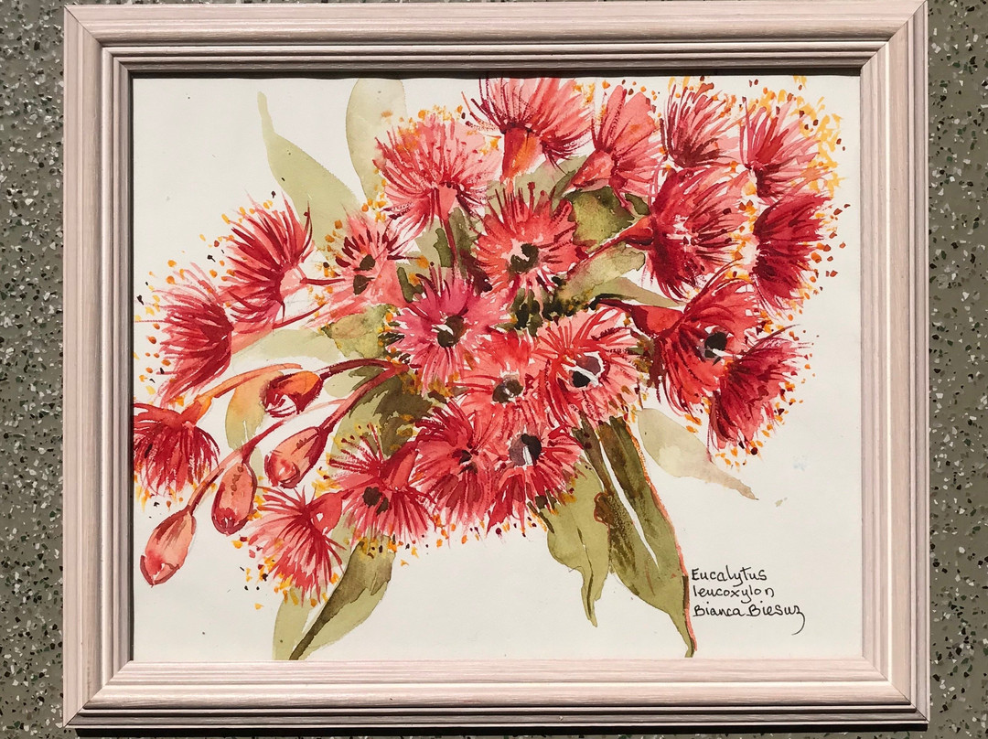 Stefani Hilltop Gallery-Fish Creek必去景点