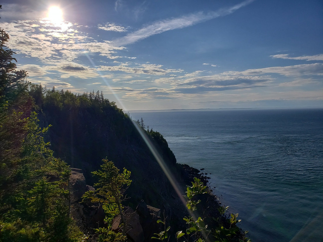 Thomas B. Munro Memorial Nature Preserve-Grand Manan必去景点