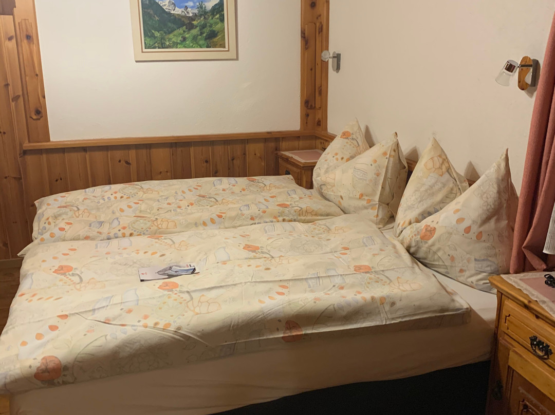 Alpine Budget Rooms by Tascherhof主图