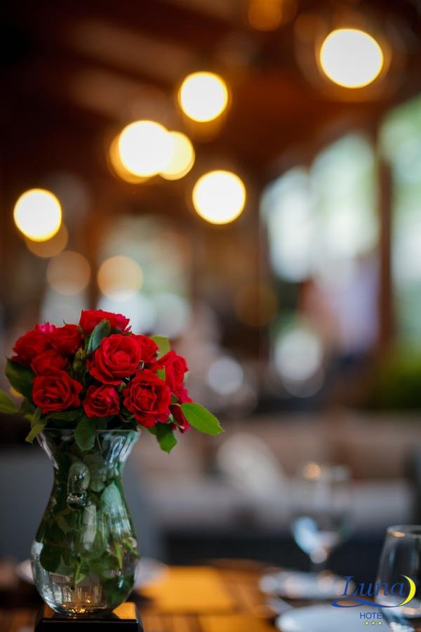 Luna Hotel-portrait