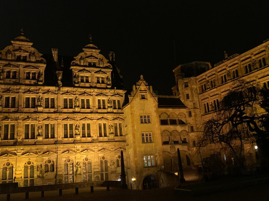 Wohlfuhl-Hotel Neu Heidelberg主图