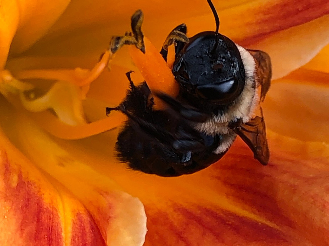 Highgate Estate & Gardens-格林斯伯勒必去景点