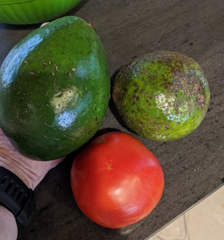 Seaside Farmer's Market景点图片