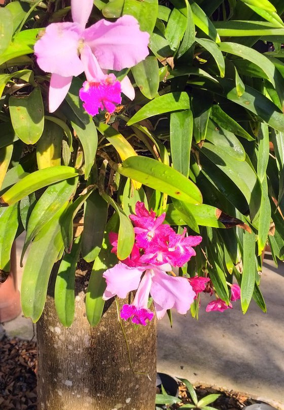 巴恩斯莱蓬度假酒店主图