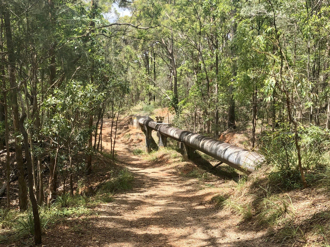 图海森林-布里斯班必去景点