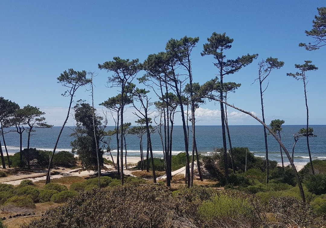 Hosteria Fortin de Santa Rosa主图