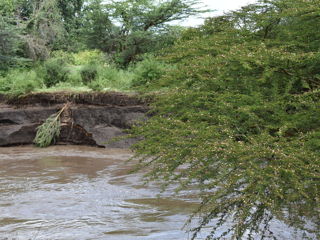 马塞马拉度假帐篷酒店主图