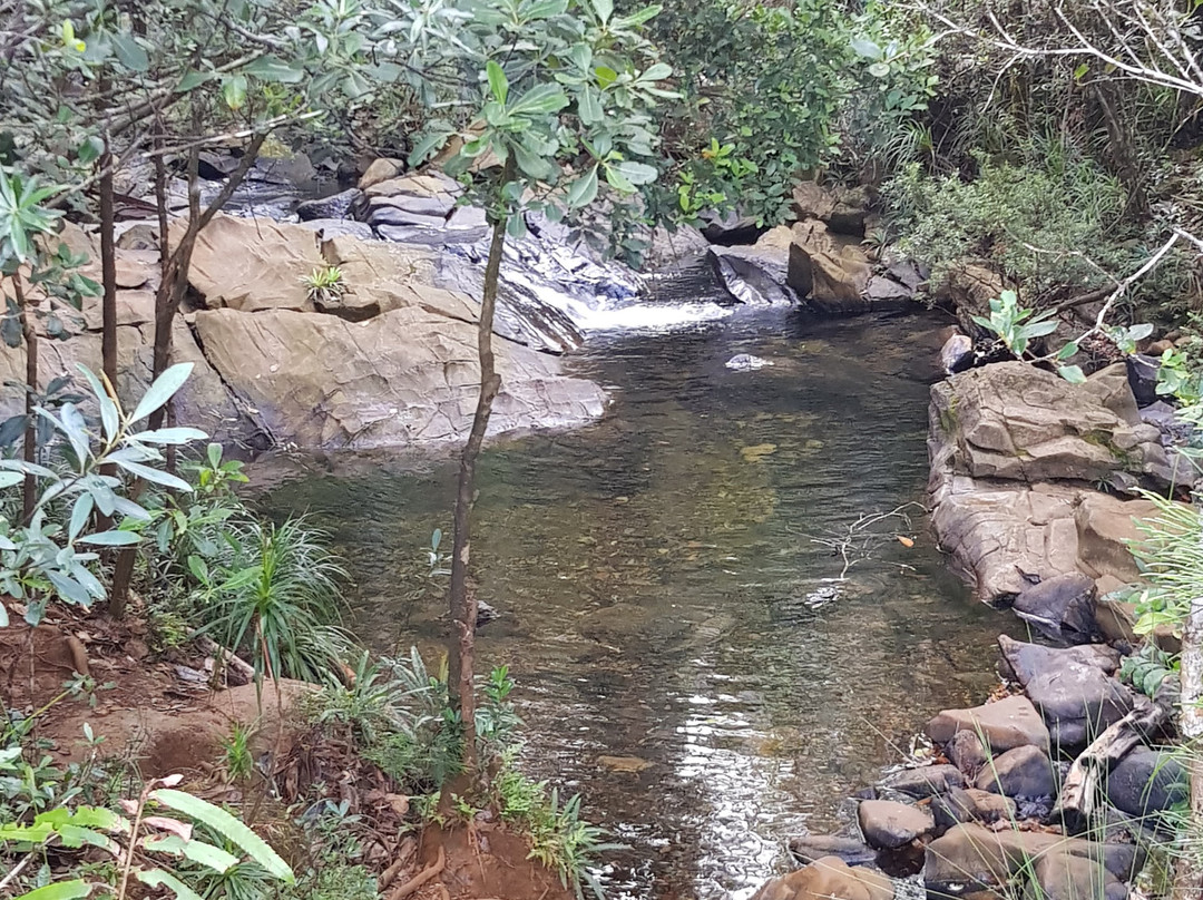 Blue River Provincial Park景点图片