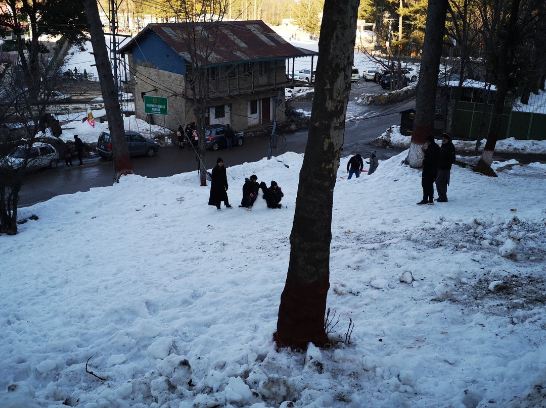 Chinar Family Resort主图