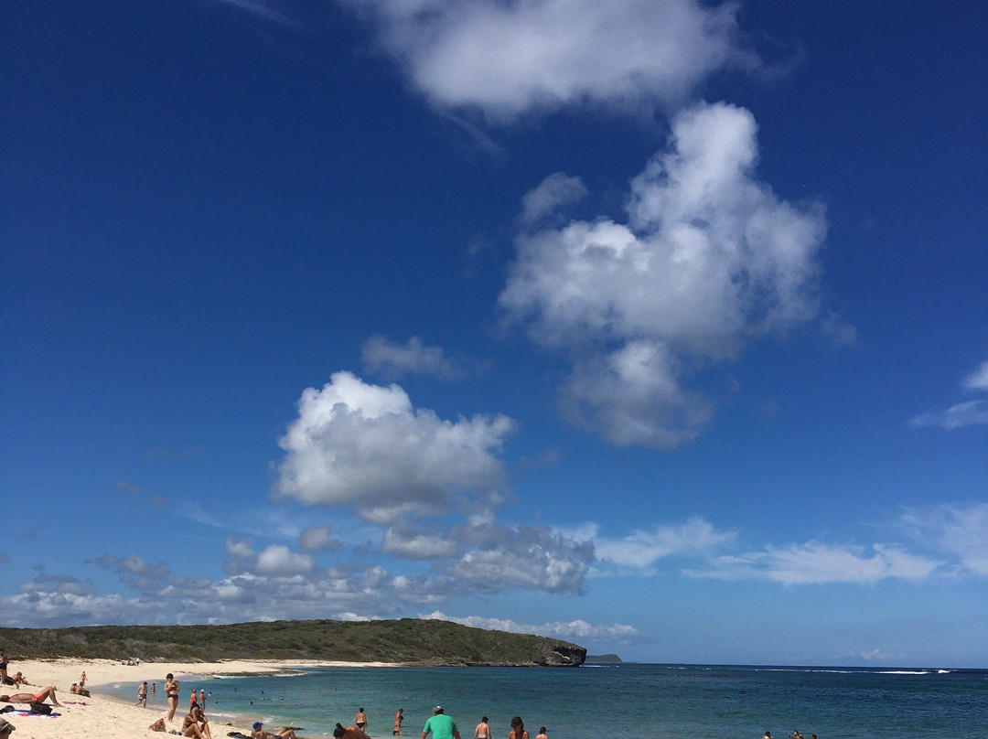 Anse a la Gourde-Saint Francois必去景点