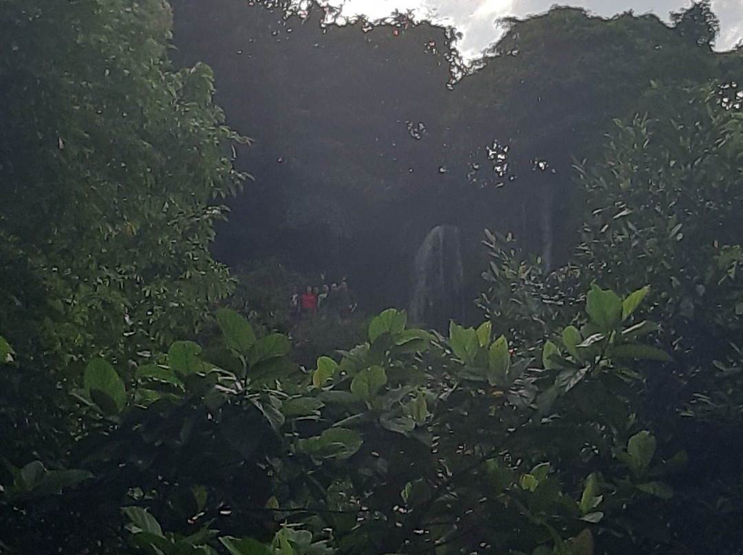 Busay Falls景点图片