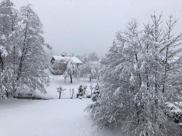 Le Cerf Amoureux-酒店景观
