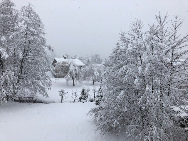 Le Cerf Amoureux主图