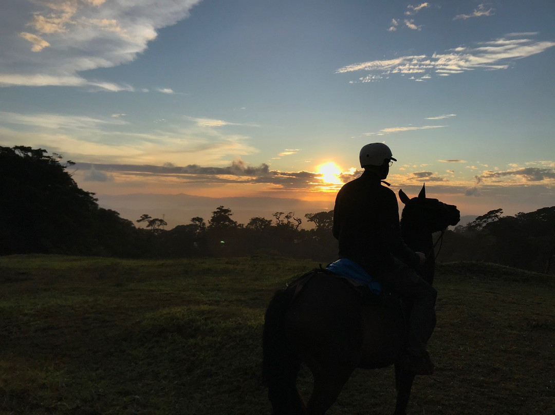 Martin Tours-蒙特沃德必去景点
