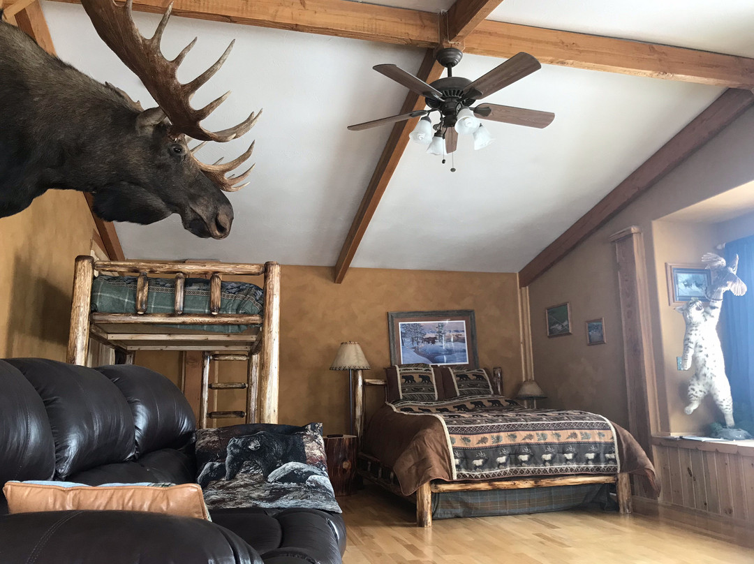 4 Bears bed and breakfast主图