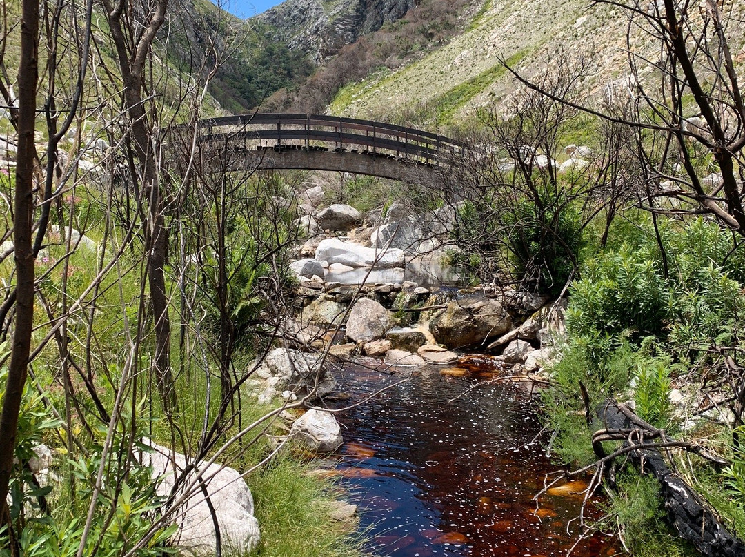 Harold Porter National Botanical Gardens-Betty's Bay必去景点