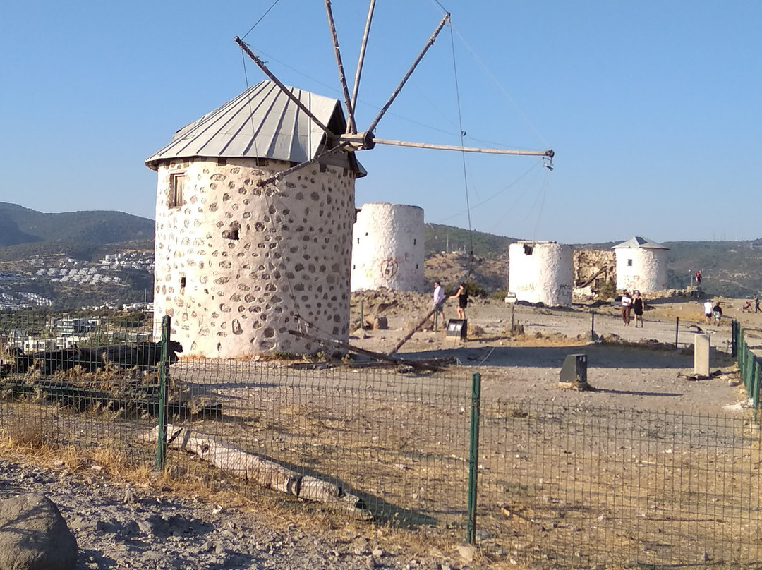 Windmills景点图片