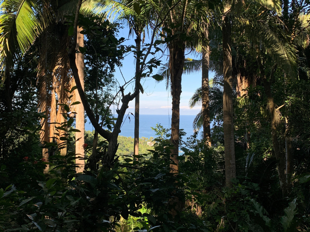 Lo de Perla Jungle Garden-旧金山必去景点