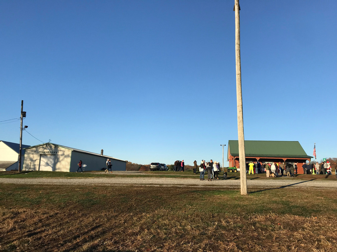 Pine Valley Christmas Trees