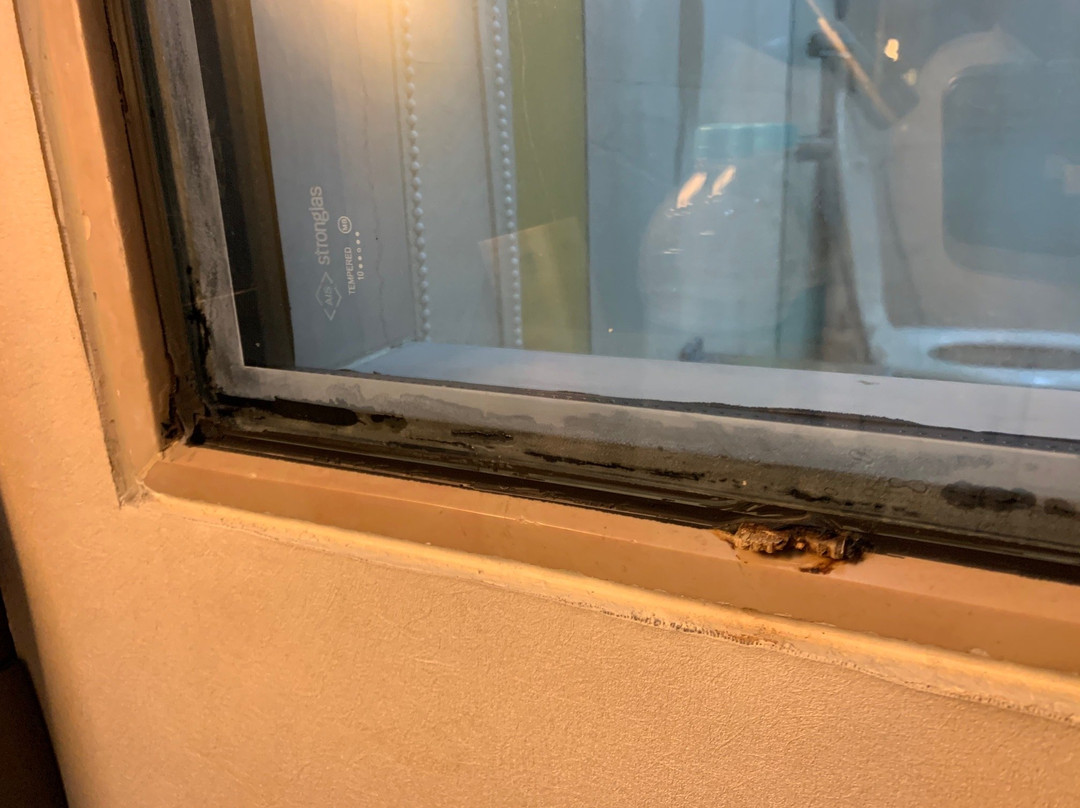 萨亚吉酒店主图