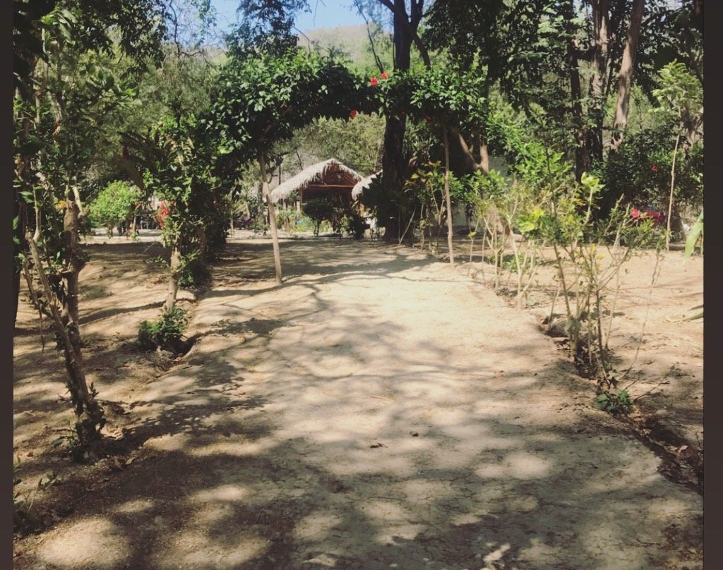 Agua Blanca-Machalilla National Park必去景点