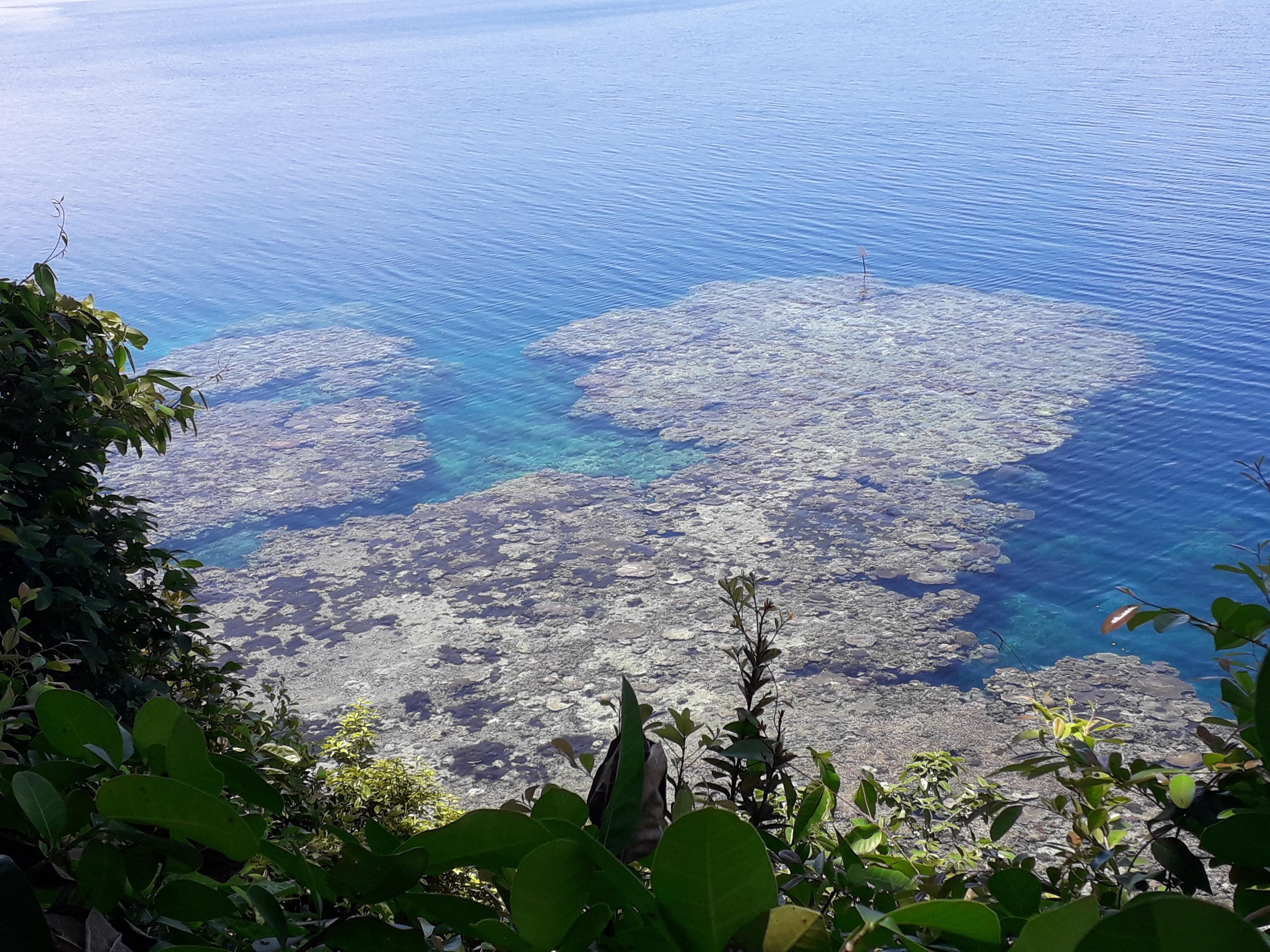 Tawali Leisure & Dive Resort-浴室