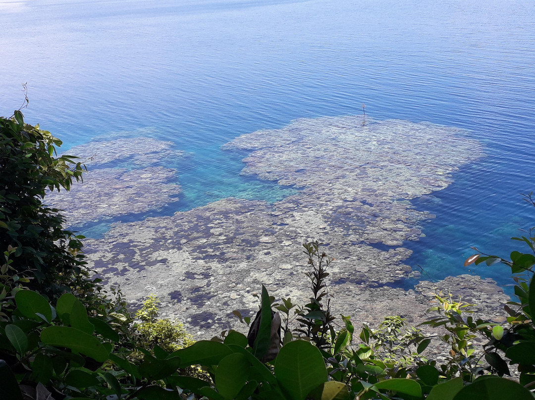 Tawali Leisure & Dive Resort主图