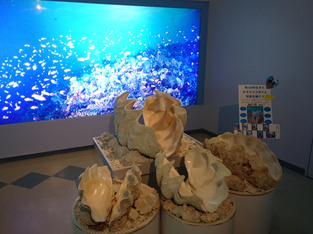 Miyakojima Sea Treasure Museum-宫古岛市必去景点