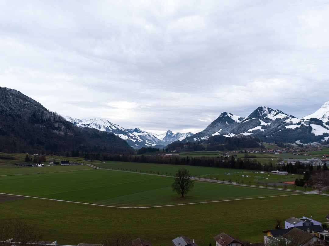 Hotel De Ville主图