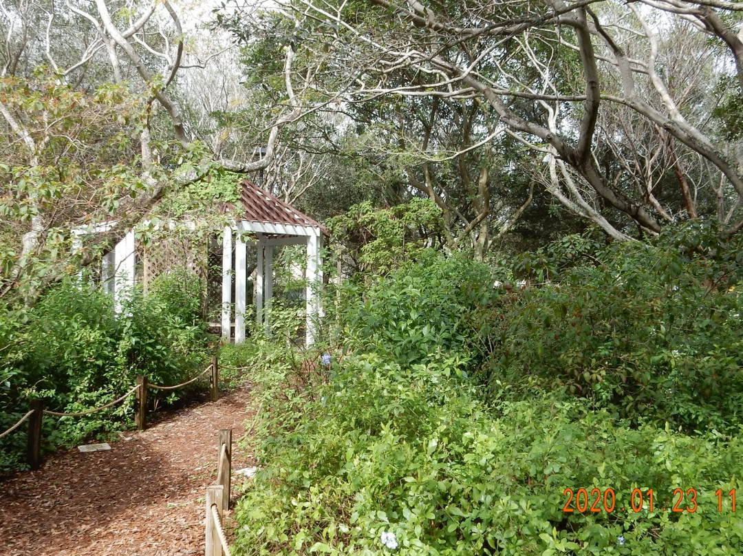 Robert J Huckshorn Arboretum-朱庇特必去景点