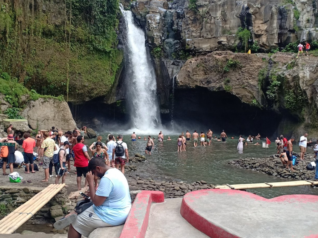 Kemenuh Butterfly Park-Kemenuh必去景点