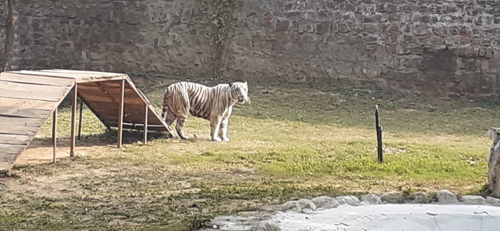Gandhi Prani Udhyan-瓜廖尔必去景点