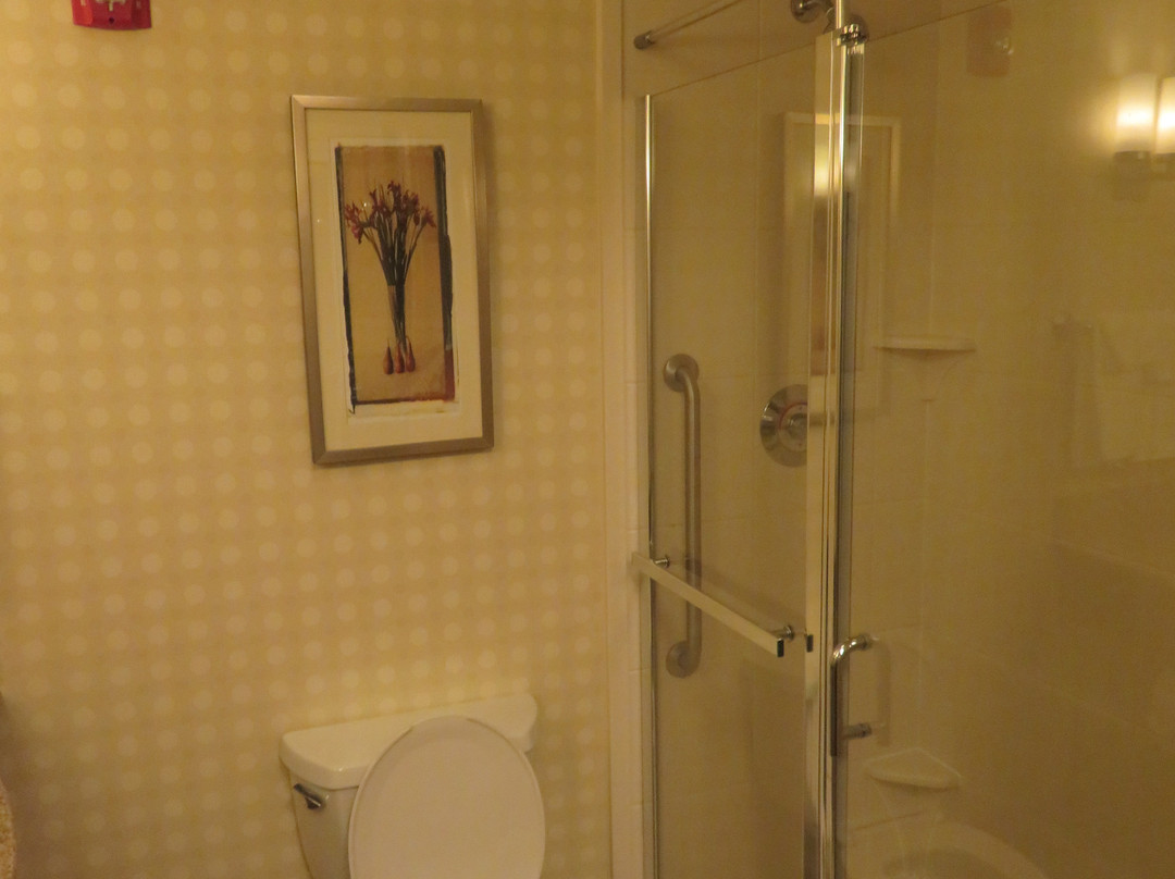 摩根城希尔顿花园旅馆主图