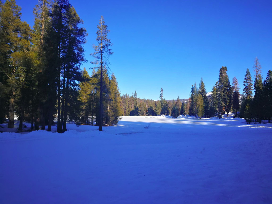 Montecito Sequoia Lodge & Summer Family Camp主图