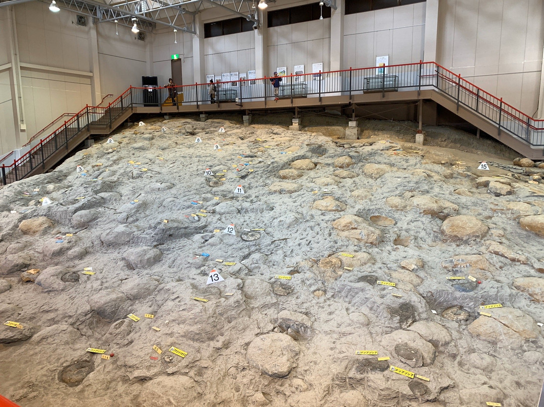 Iwaki City Ammonite Center-盘城市必去景点