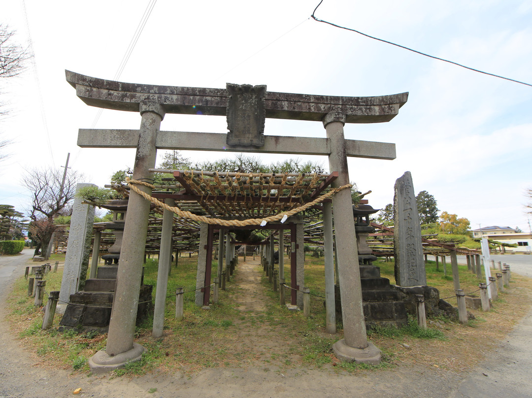 Tsunatori No Matsu-伊势崎市必去景点