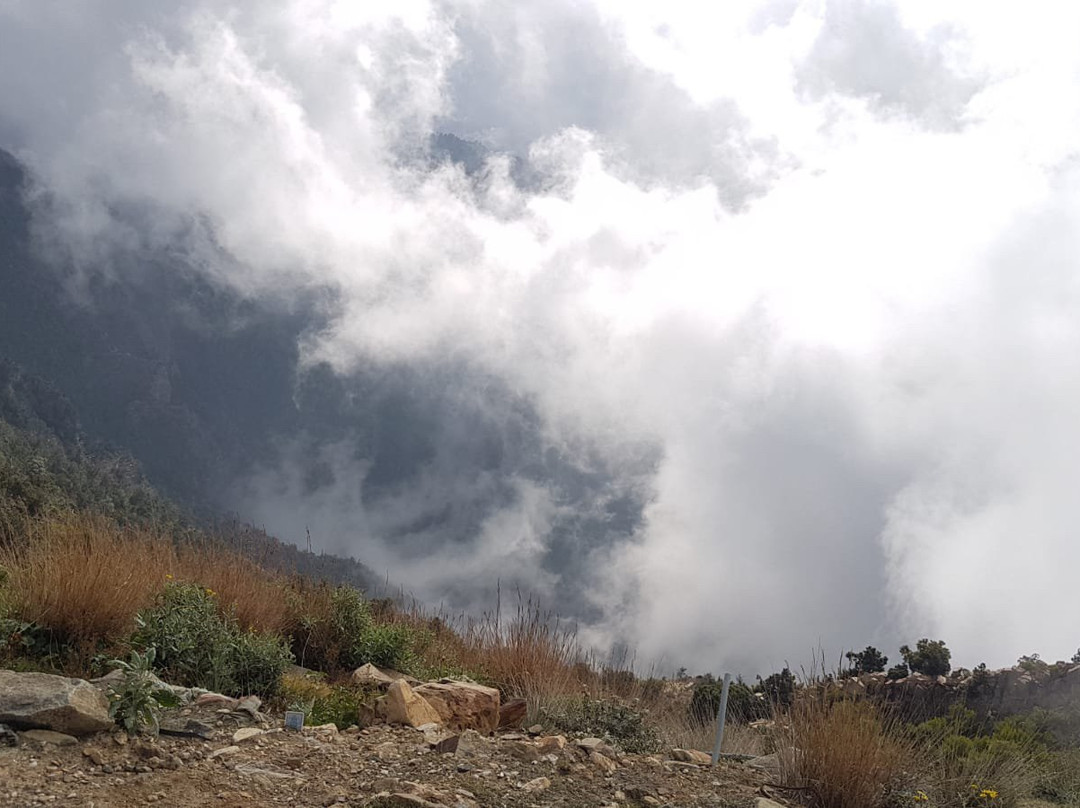Asir National Park-Abha必去景点