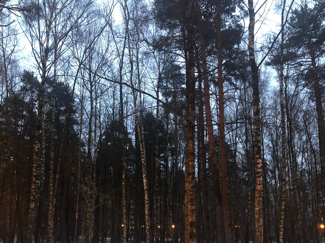 Gubaylovskiy Eco Park景点图片