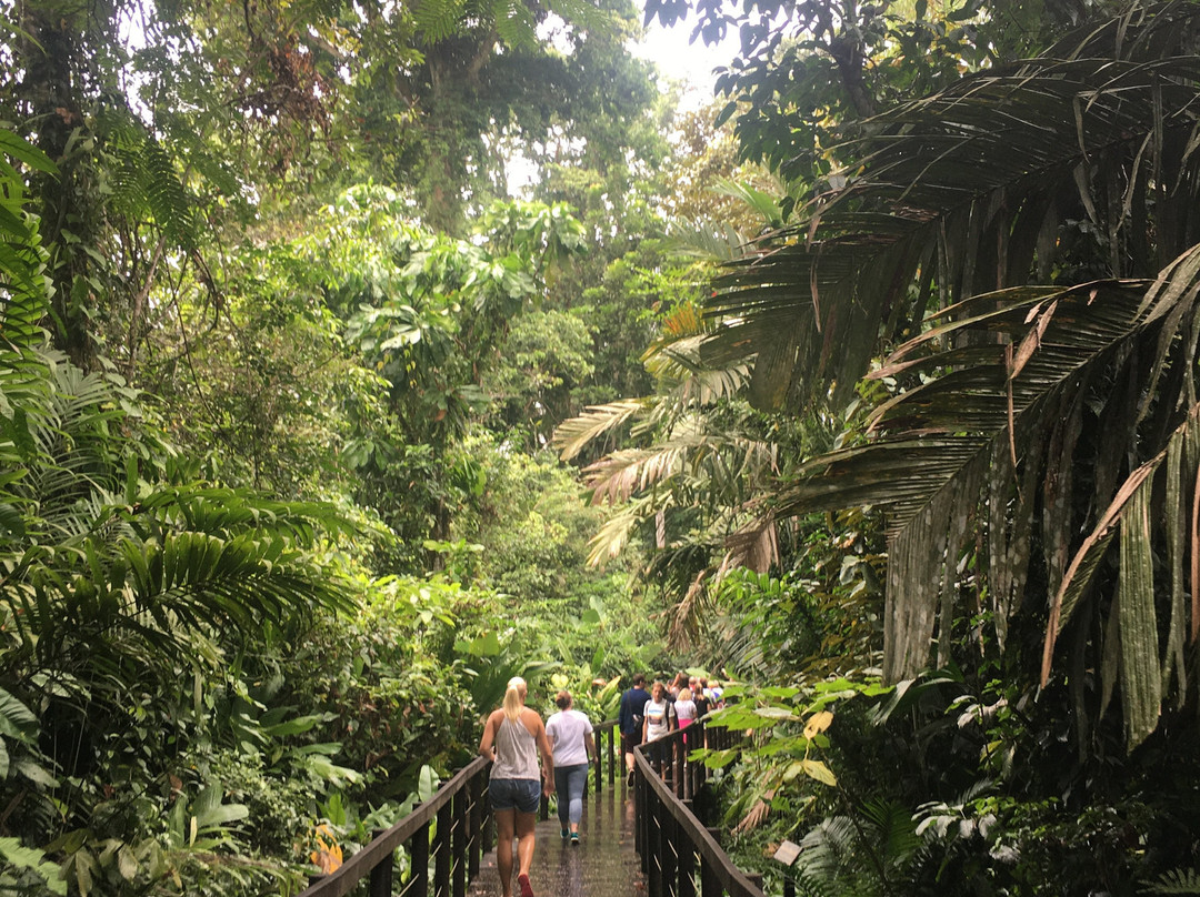 Costa Rica Caribe Tours景点图片