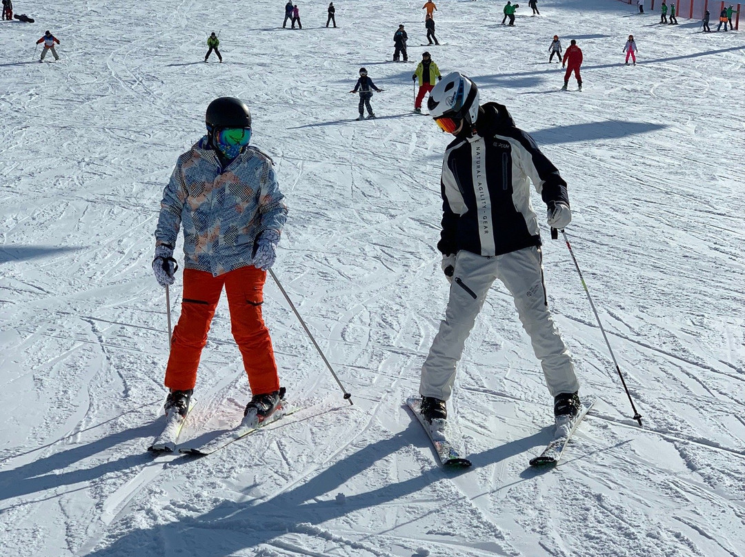 Korea International Ski School-洪川郡必去景点