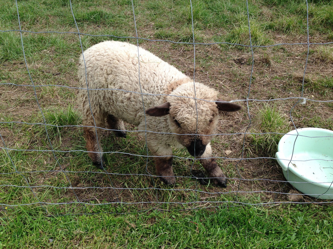 Maanselän Etappi-Sotkamo必去景点