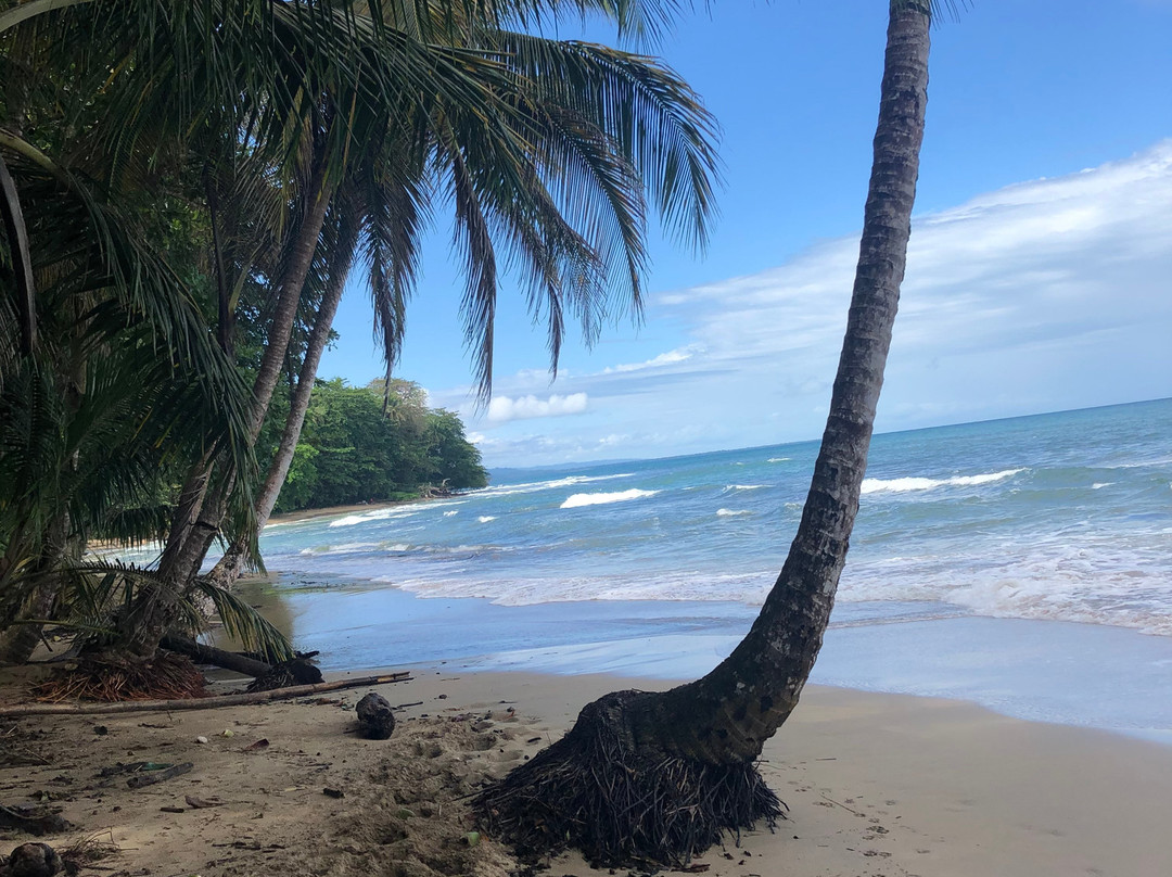 Selvin's Cabinas主图