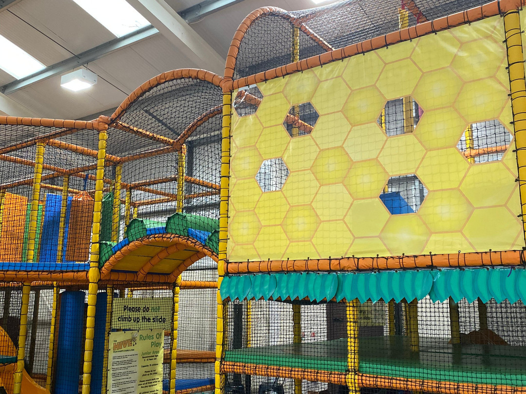 The Hive Soft Play and Party Center景点图片